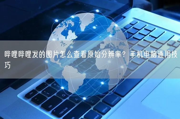 哔哩哔哩发的图片怎么查看原始分辨率？手机电脑通用技巧