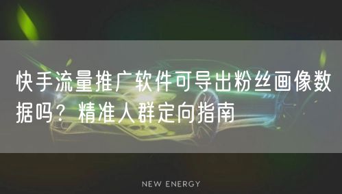 快手流量推广软件可导出粉丝画像数据吗？精准人群定向指南