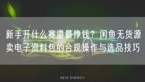 新手开什么赛道最挣钱？闲鱼无货源卖电子资料包的合规操作与选品技巧