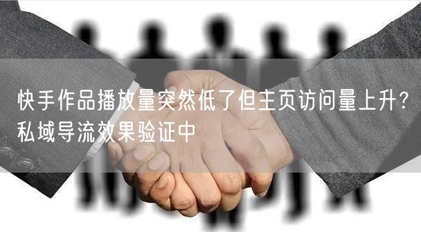 快手作品播放量突然低了但主页访问量上升？私域导流效果验证中