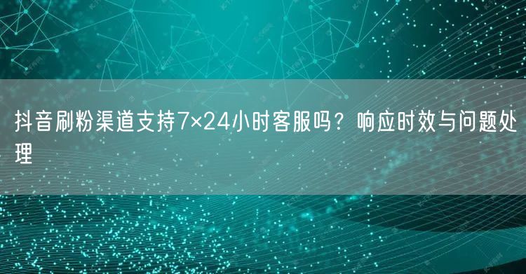 抖音刷粉渠道支持7×24小时客服吗？响应时效与问题处理